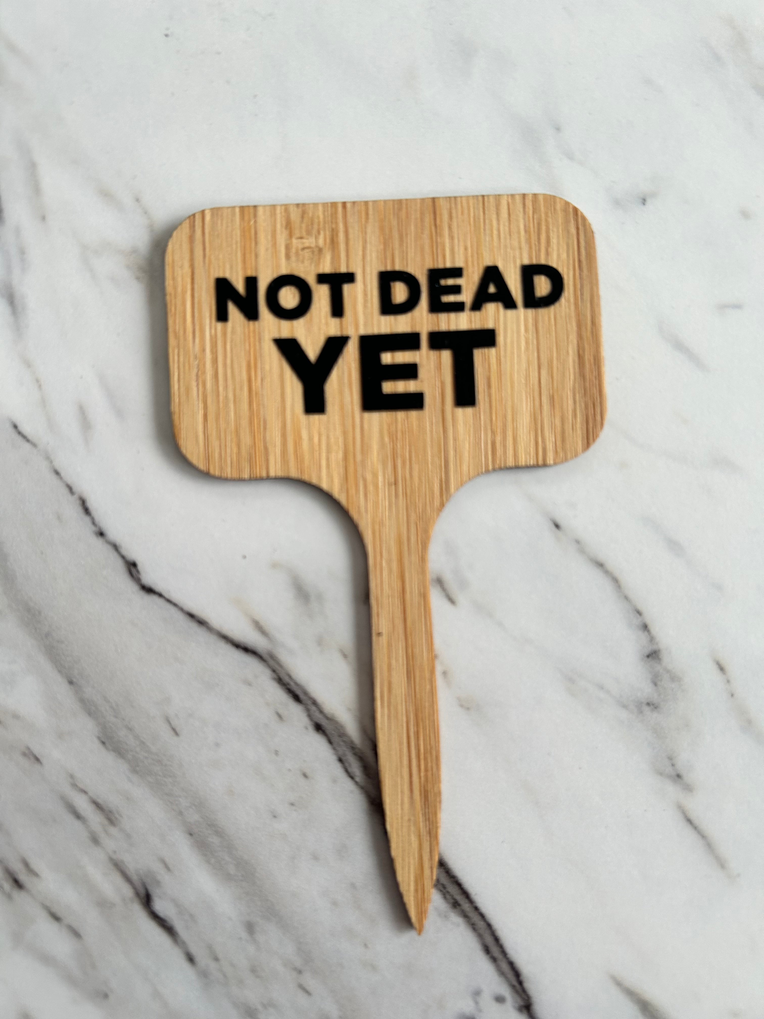 Not Dead Yet Plant Stake