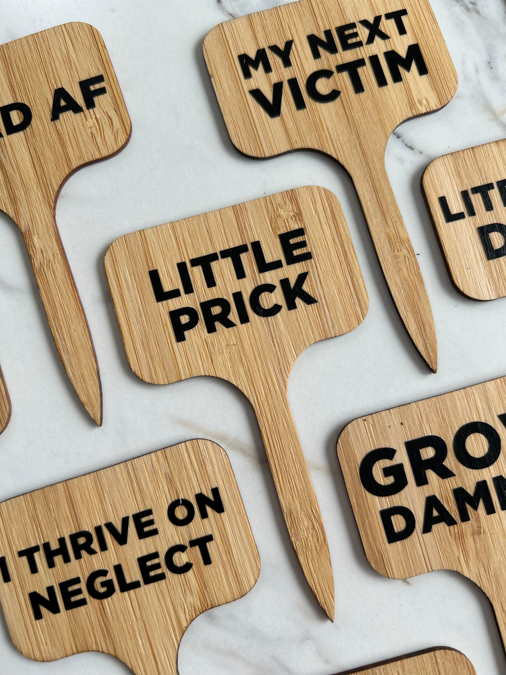 Little Prick Plant Stake