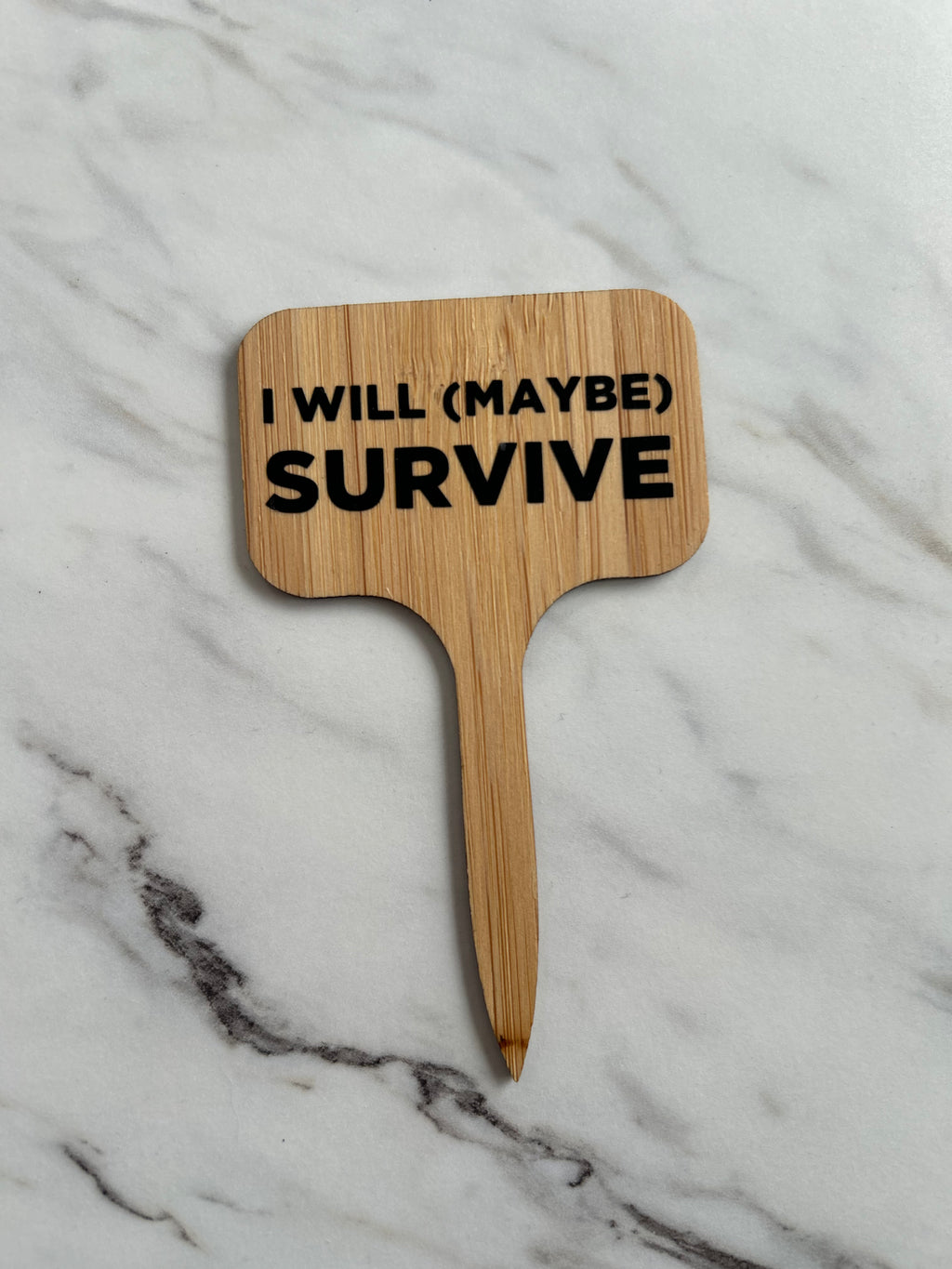 I Will (Maybe) Survive Plant Stake