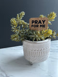 Pray For Me Plant Stake