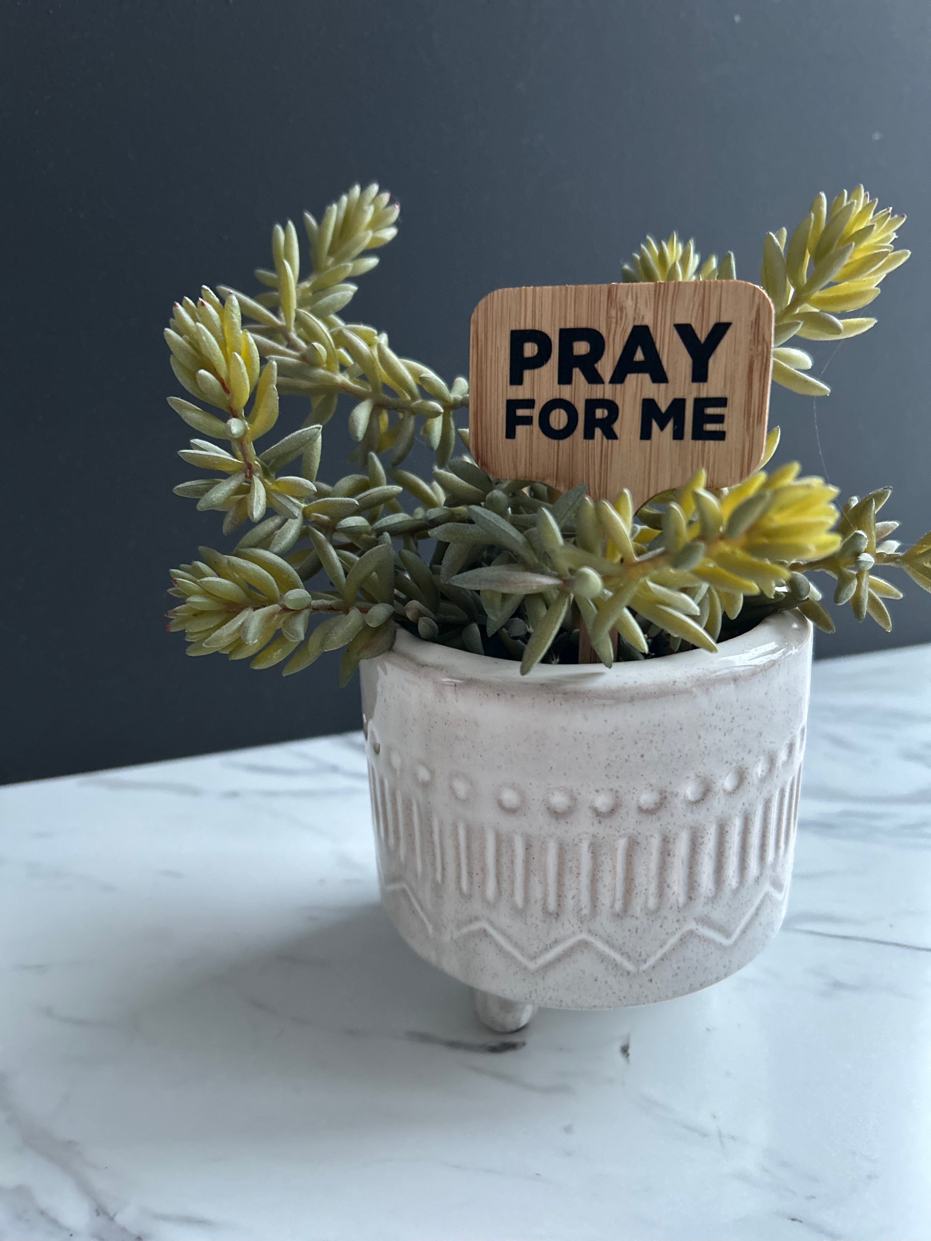 Pray For Me Plant Stake