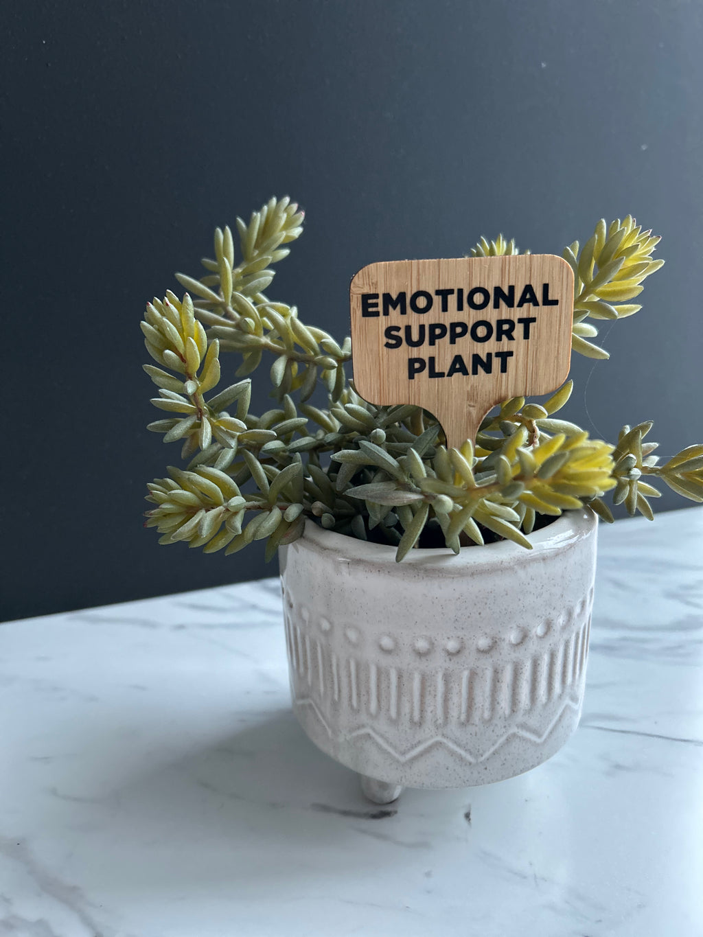 Emotional Support Plant - Plant Stake