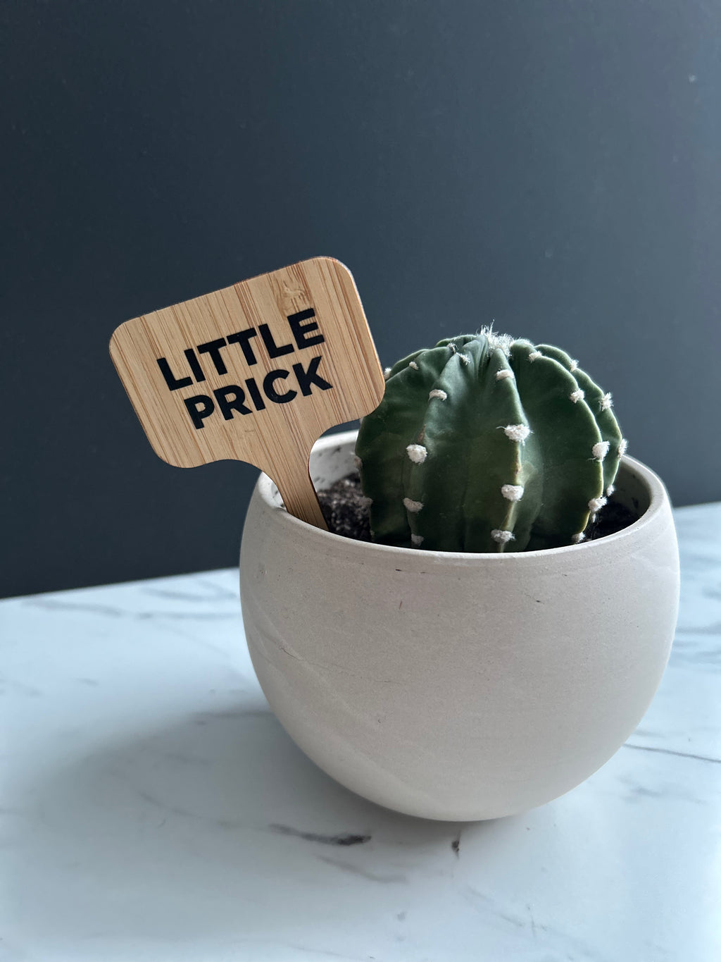 Little Prick Plant Stake
