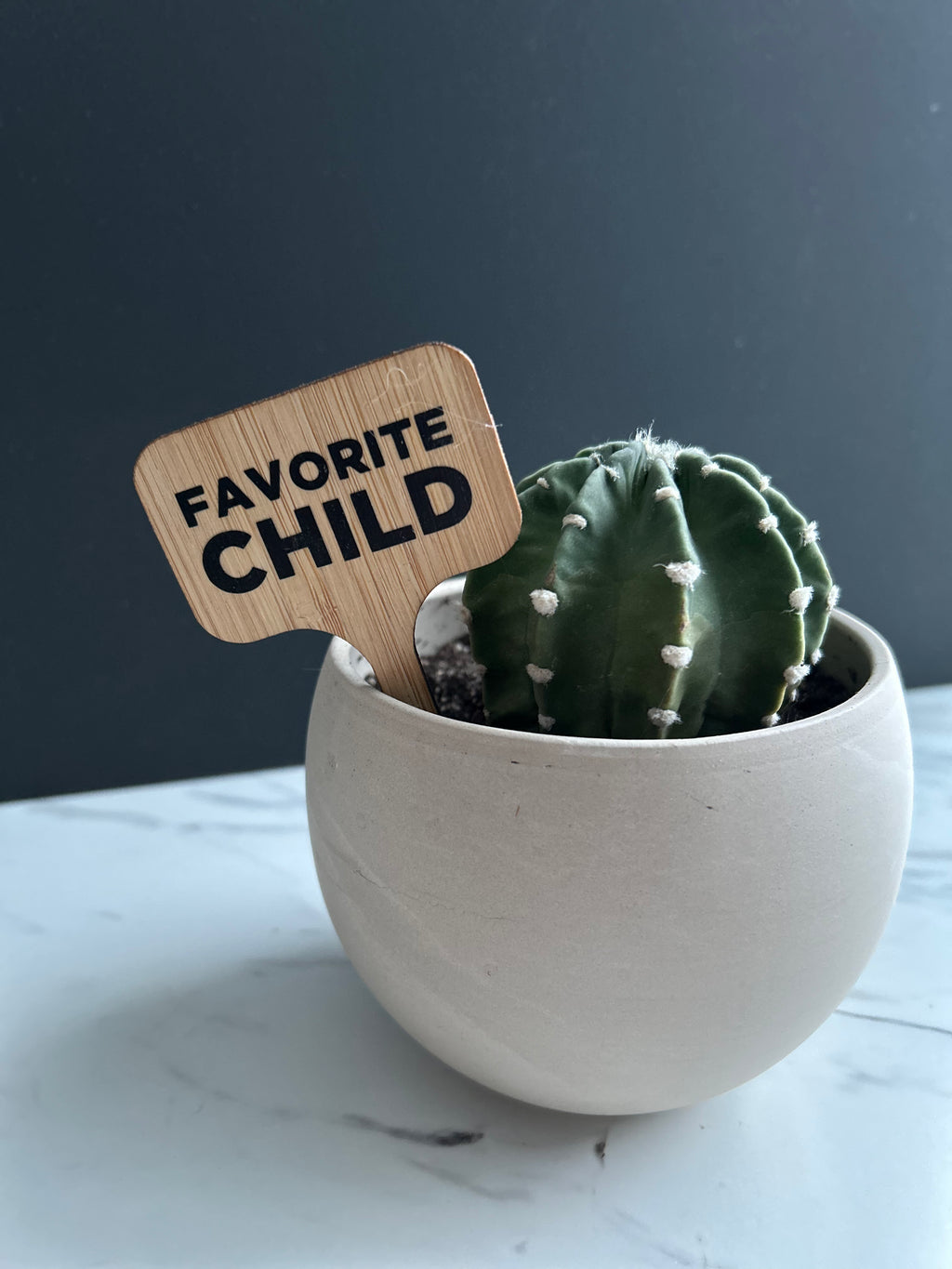Favorite Child Plant Stake