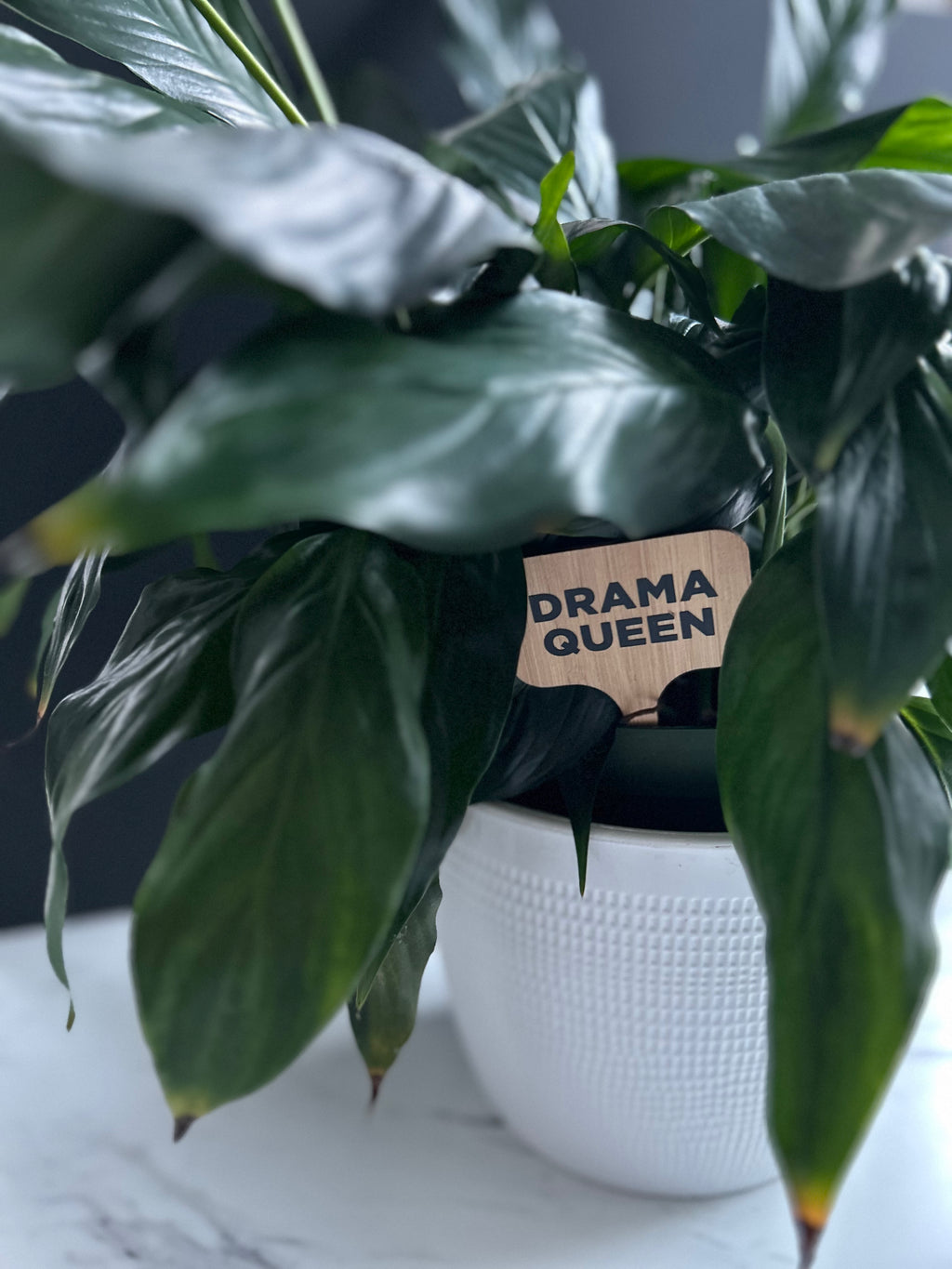 Drama Queen Plant Stake