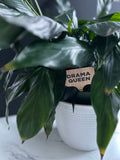 Drama Queen Plant Stake