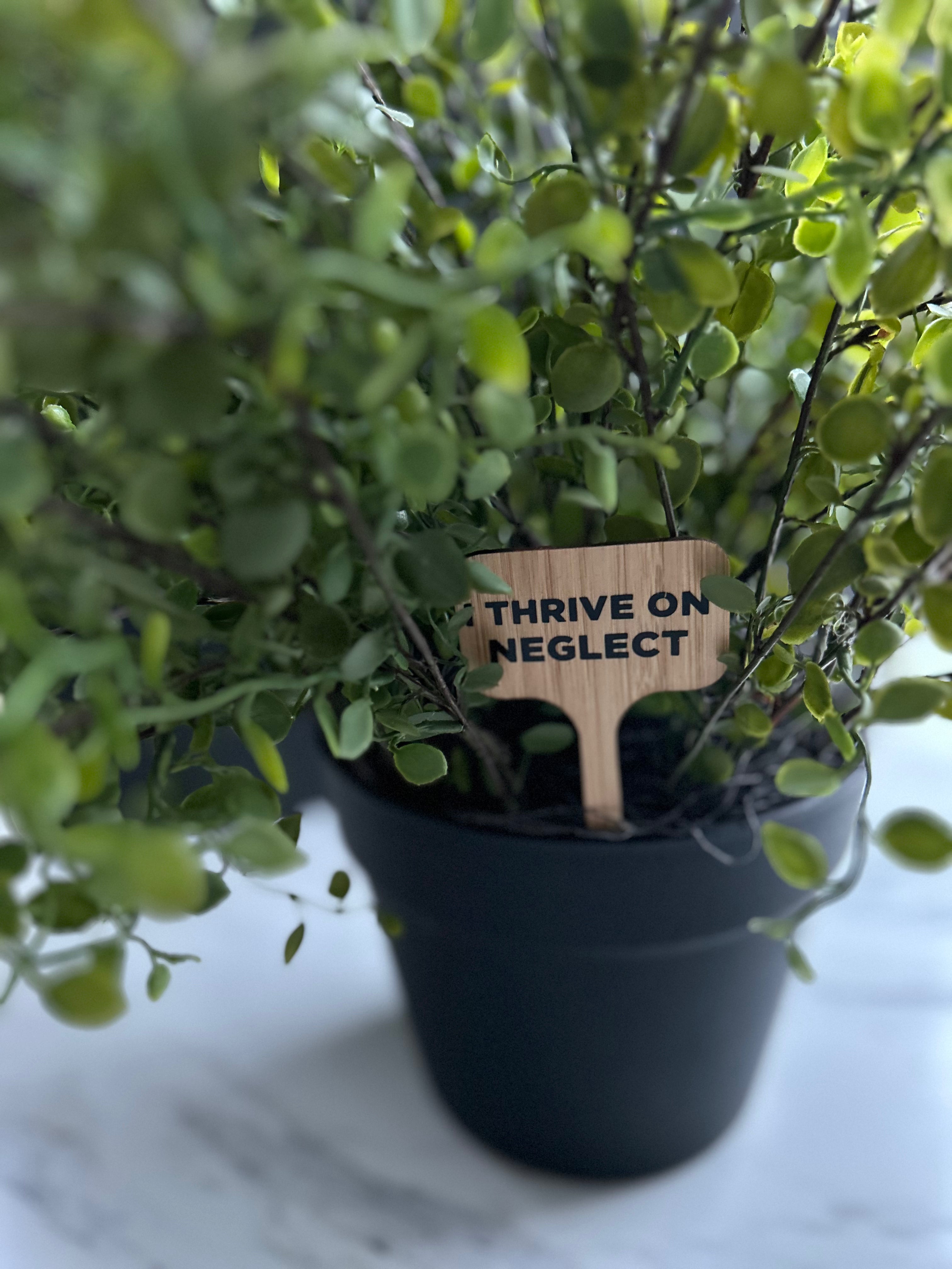 I Thrive On Neglect Plant Stake