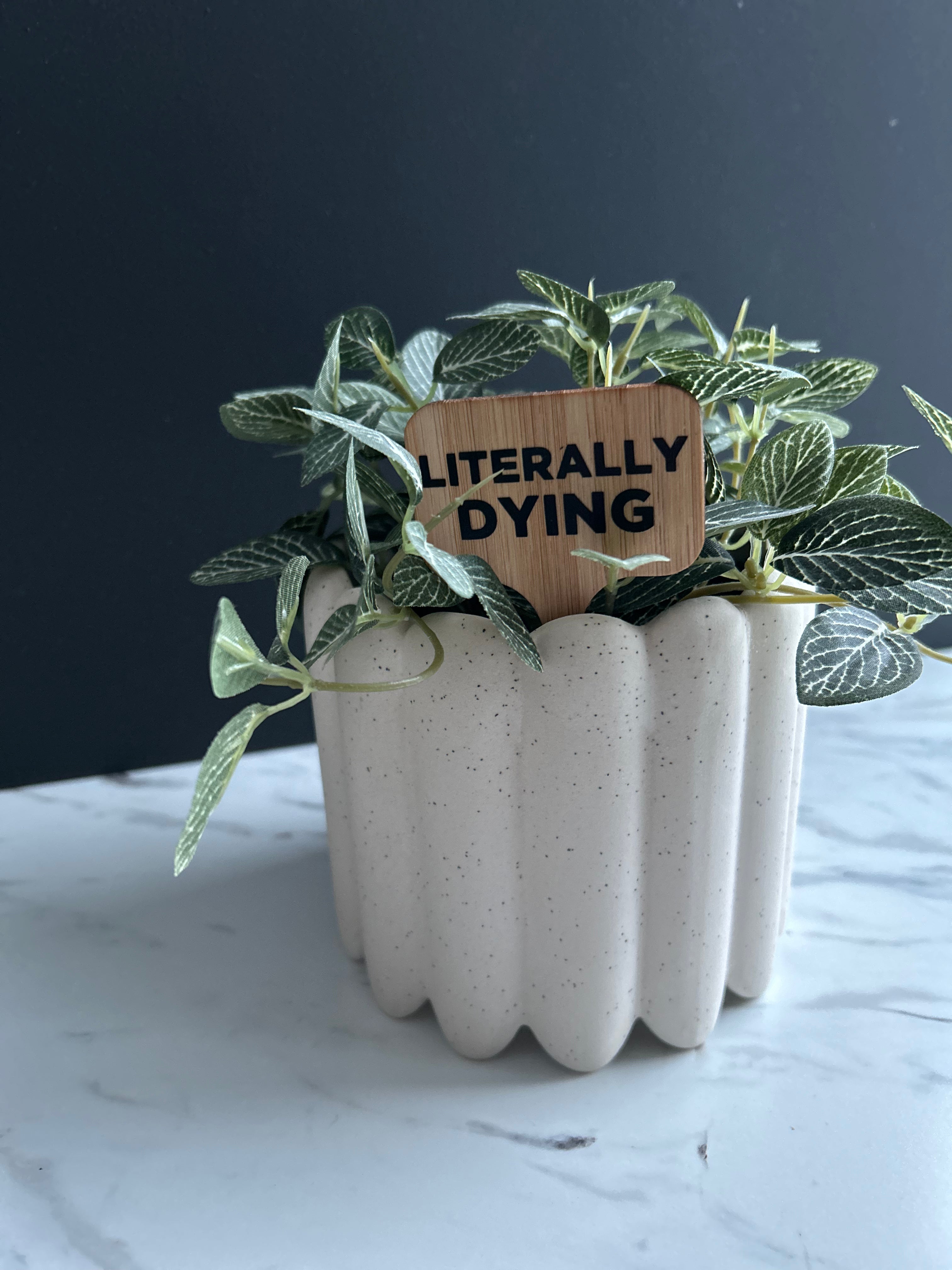 Literally Dying Plant Stake