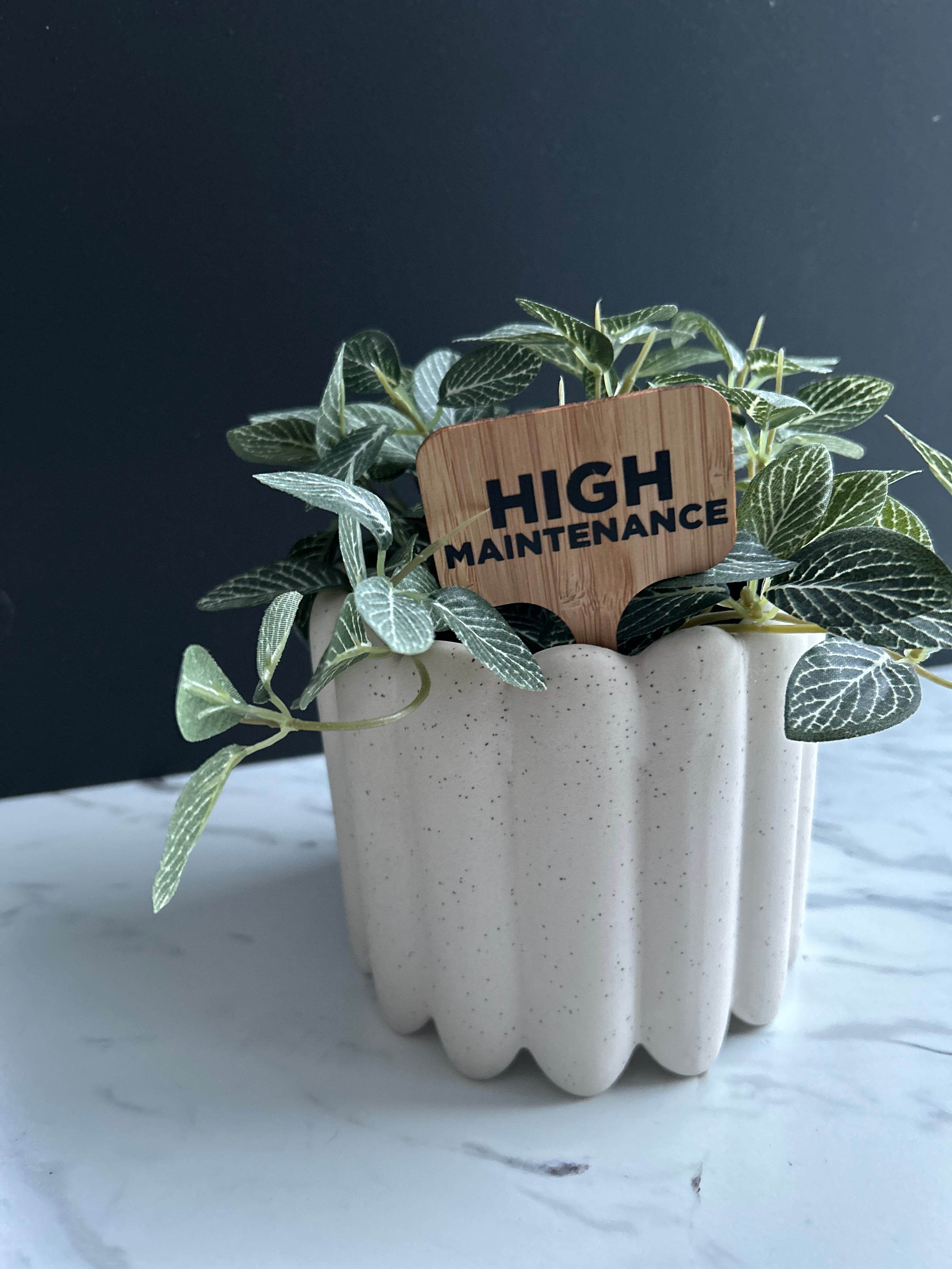 High Maintenance Plant Stake