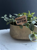 Thirsty B*tch Plant Stake