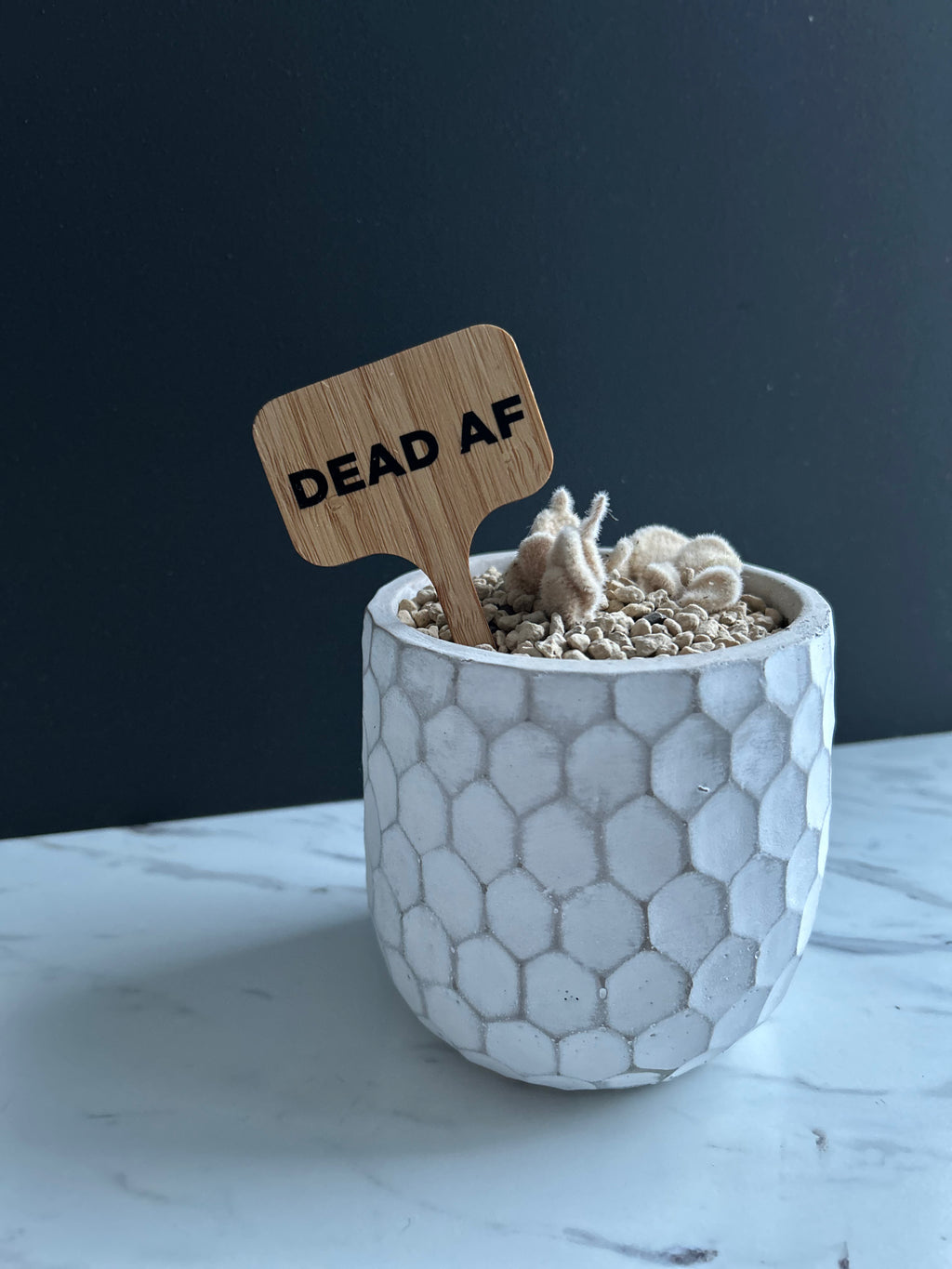 Dead AF Plant Stake